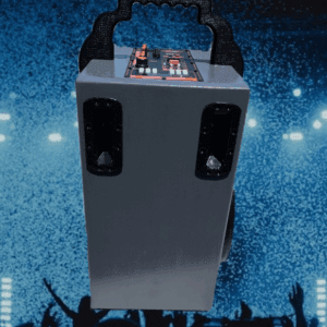 karaoke speaker amp